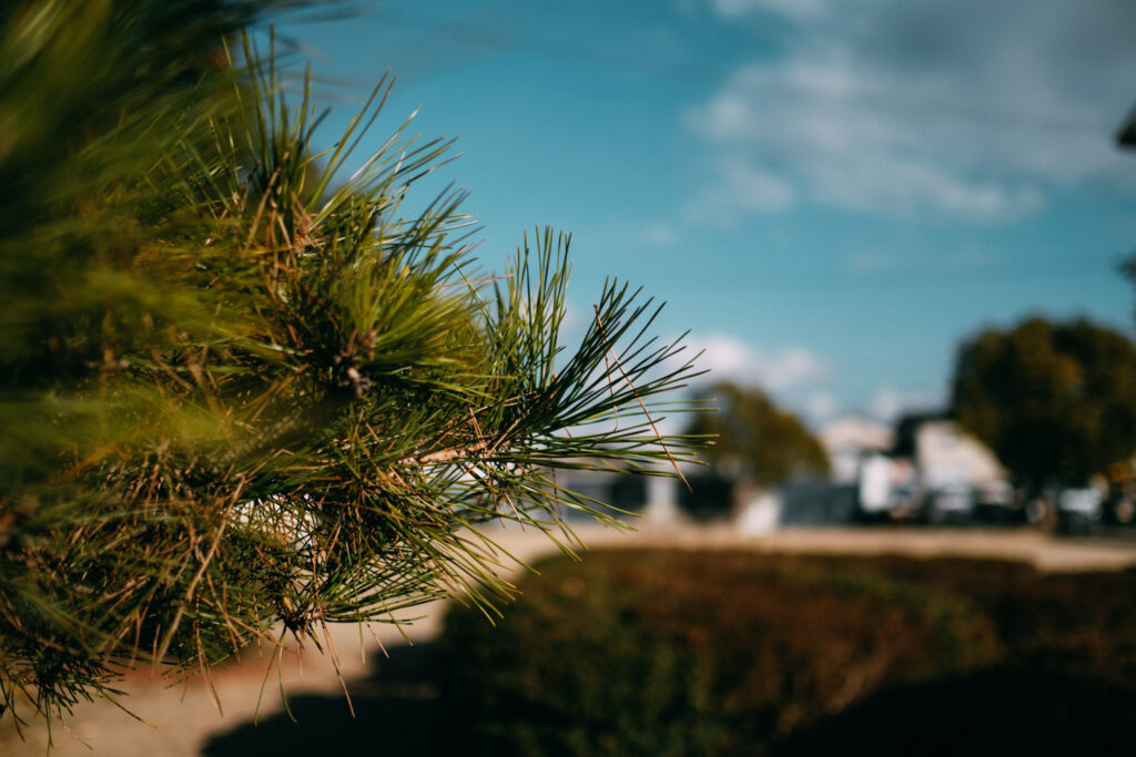 XF23mmF1.4 Rで写す日常──スナップ・旅・家族のそばに