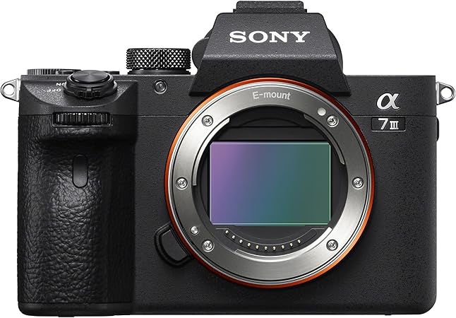 SONY α7S III ILCE-7SM3 ボディ レンタル どこが安い？徹底比較 - かり