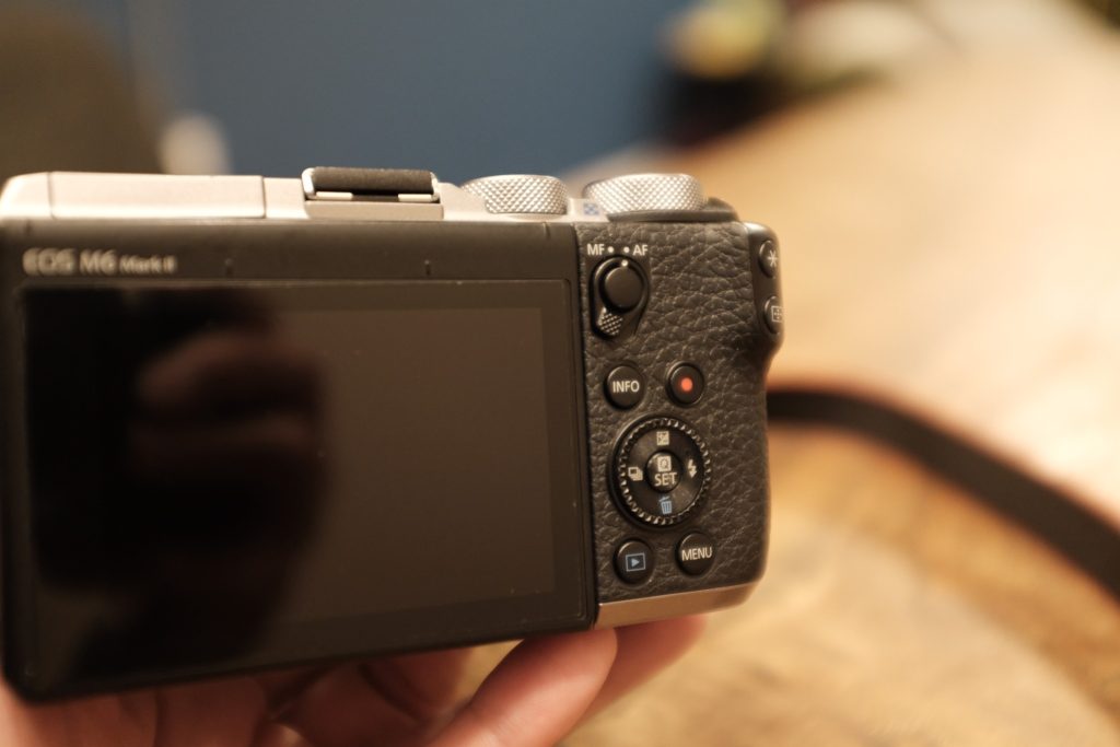 EOS M6 Mark IIと望遠レンズ