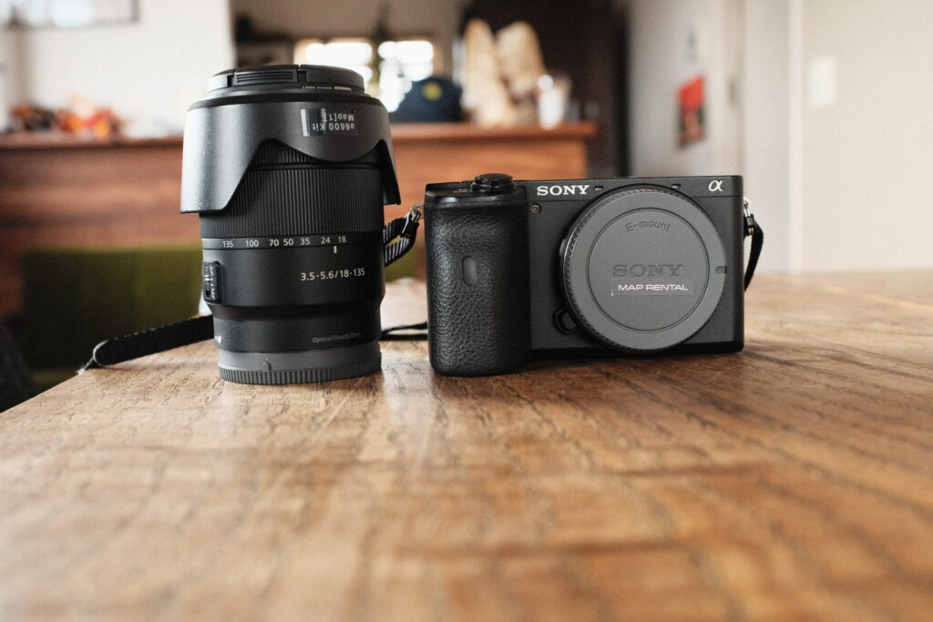 今回レンタルしたSONY α6600で撮影した作例(シダ植物)