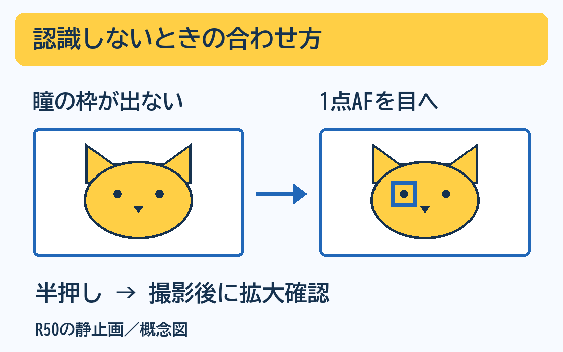 EOS R50で動物の瞳の枠が出ない場合、1点AFの枠を目へ動かして半押しし、撮影後に拡大確認する概念図