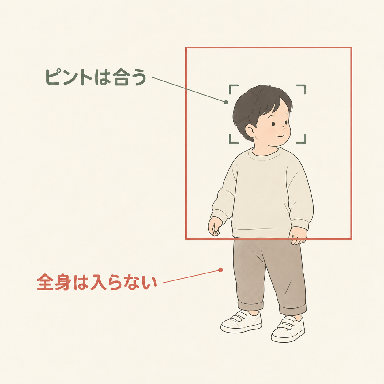 ピントは合っていても、撮影枠から脚が出て全身は収まらない概念図
