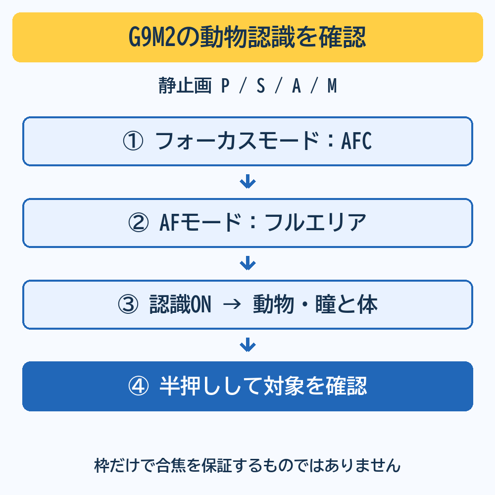 G9M2の静止画で、AFCとフルエリアを選び、自動認識をON、動物と瞳・体を設定して半押しで対象を確かめる4段階。枠だけで合焦を保証しない