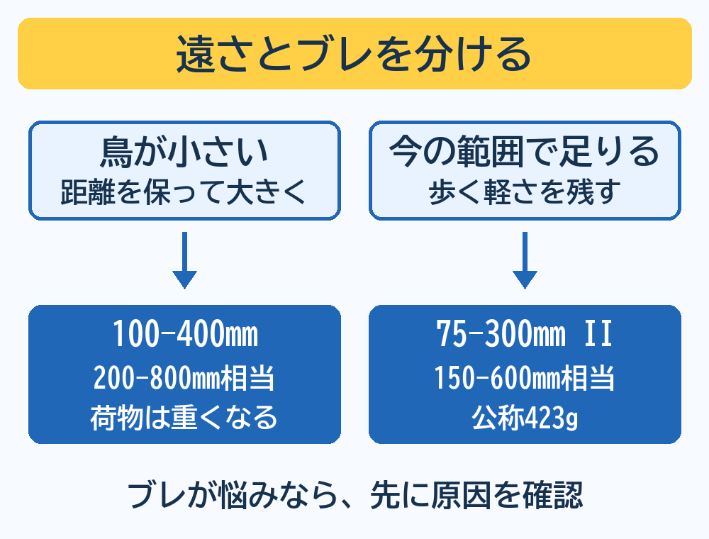 今の画角で足りるなら75-300mm II、離れた鳥を大きく写したいなら100-400mmを試す分岐