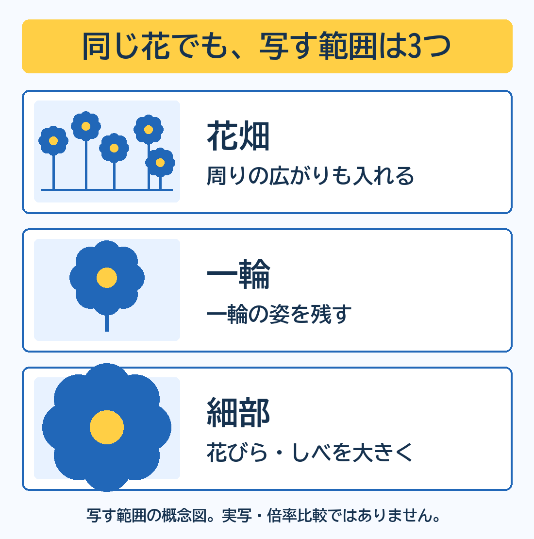 同じ花を花畑全体、一輪、花びらやしべの細部という3つの範囲で写す概念図